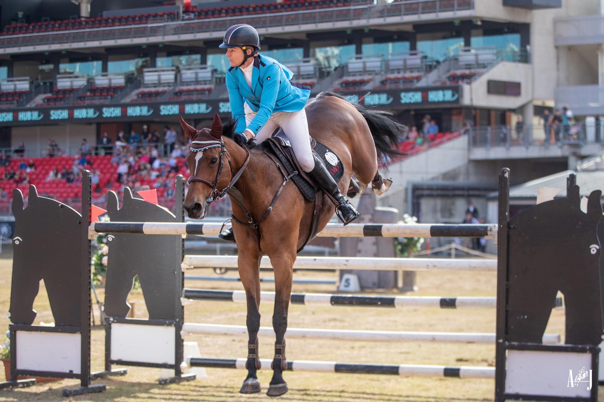 Sydney Royal 2023 - That's A Wrap - Australian Jumping